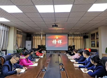 向榜樣看齊，做合格黨員