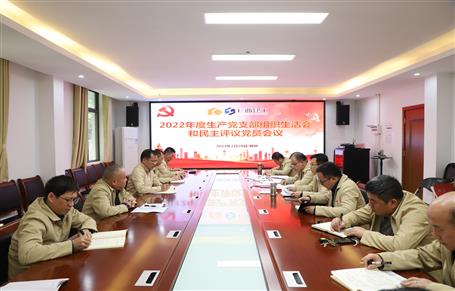 廖立波、唐峰、何勇以普通黨員身份參加所在黨支部2022年度組織生活會